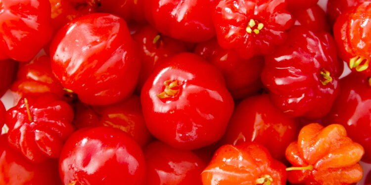 Essa fruta é fácil de cuidar, rica em nutrientes e perfeita para espaços pequenos