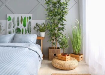 Ideias para usar plantas e renovar a energia da casa