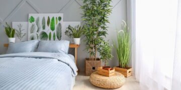 Ideias para usar plantas e renovar a energia da casa