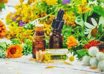 Onze plantas medicinais para cultivar em casa e cuidar da saúde