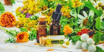 Onze plantas medicinais para cultivar em casa e cuidar da saúde