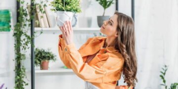 Planta que purifica