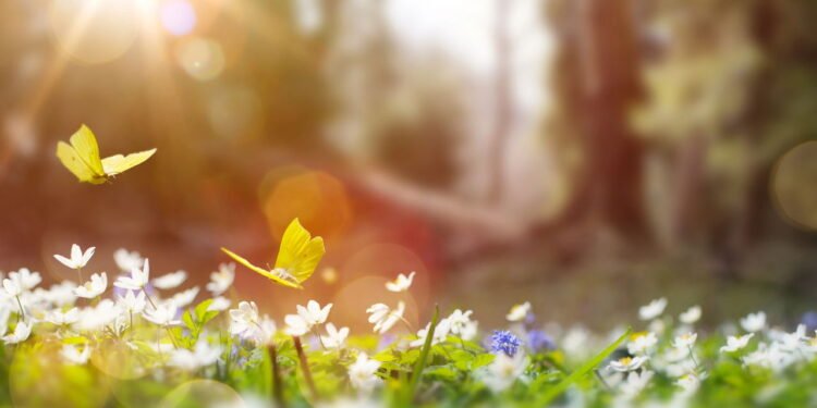 Inicio da primavera - Créditos: depositphotos.com / Konstanttin