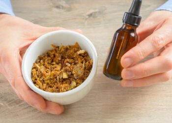 Como usar o própolis para fortalecer imunidade e prevenir doenças