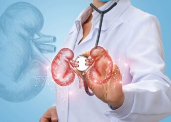 Os cuidados mais importantes para manter os rins saudáveis