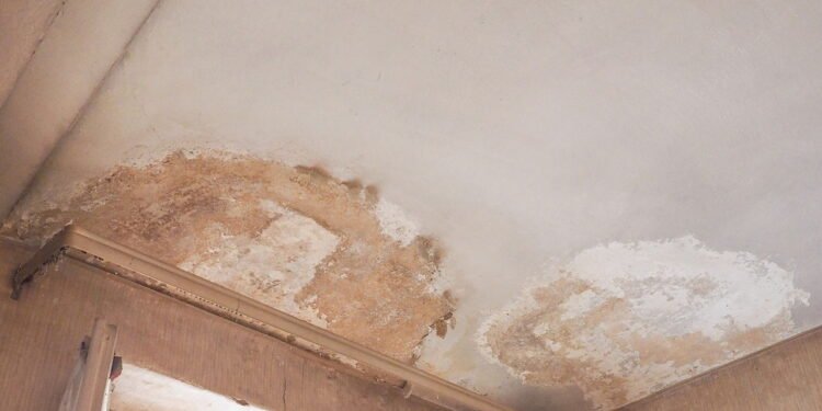 Umidade na sua casa? Não com essas dicas