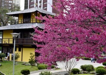 O destino perfeito para quem ama sentir um friozinho