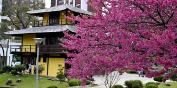 O destino perfeito para quem ama sentir um friozinho