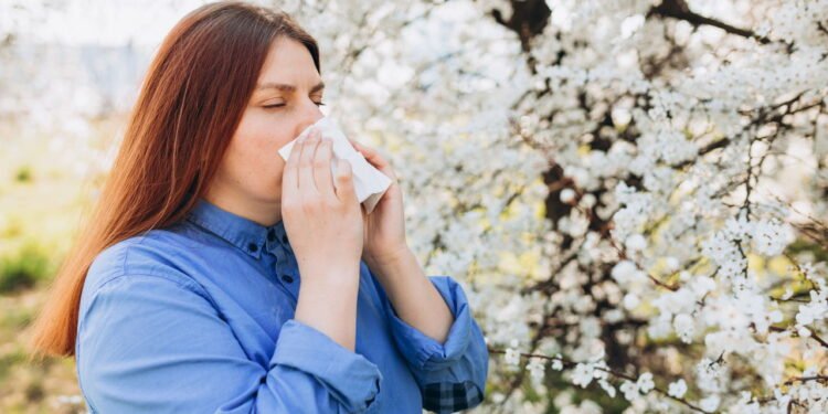 Essas 5 plantas mudaram a respiração de quem sofria com crises alérgicas