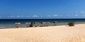 Conheça o Caribe Amazônico, o destino de água doce mais espetacular do país