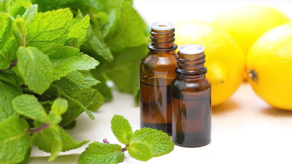 O truque aromático com hortelã que vem virando hábito nos lares brasileiros