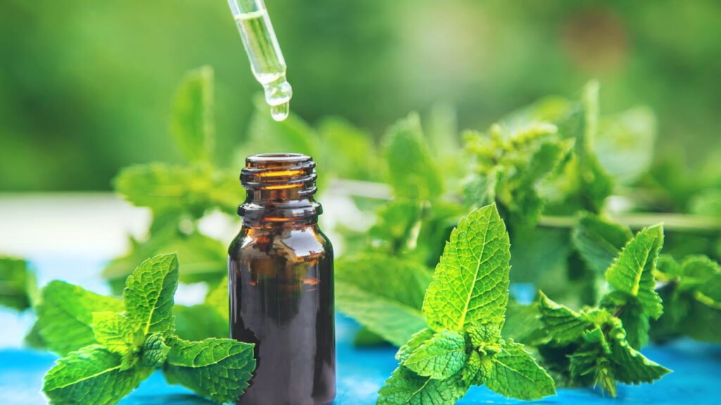 O truque aromático com hortelã que vem virando hábito nos lares brasileiros