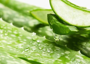 Essa receita com babosa está fazendo mulheres largarem os cosméticos caros