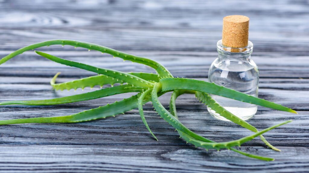 Essa receita com babosa está fazendo mulheres largarem os cosméticos caros