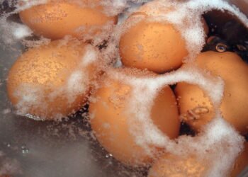 Conheça o truque simples que transforma o que iria para o ralo em adubo nutritivo