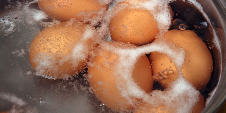 Conheça o truque simples que transforma o que iria para o ralo em adubo nutritivo