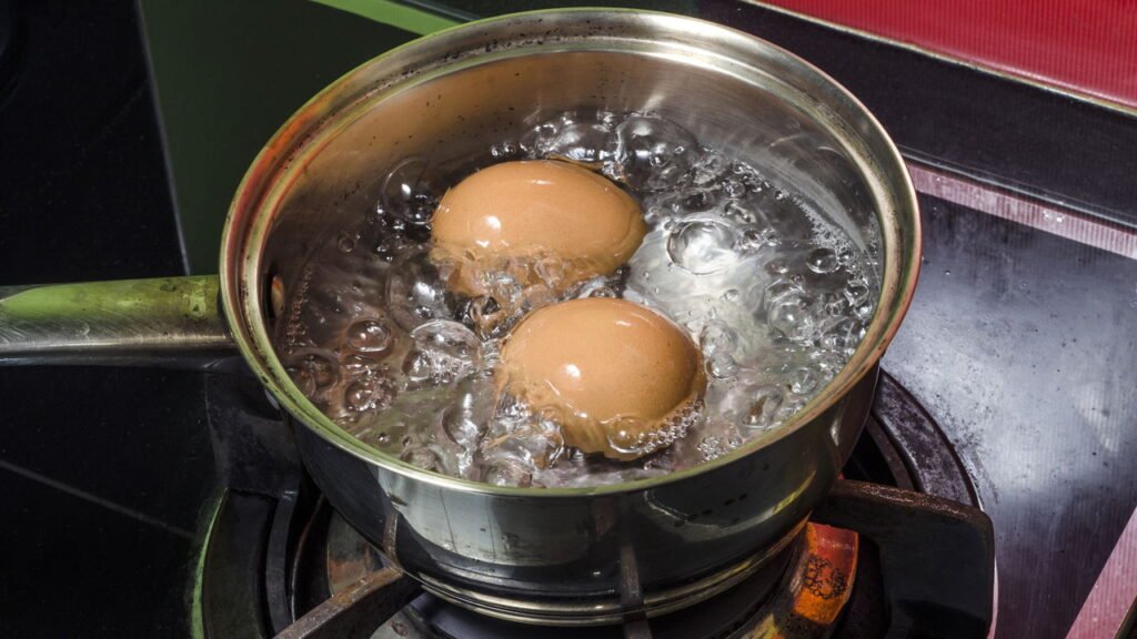 Conheça o truque simples que transforma o que iria para o ralo em adubo nutritivo