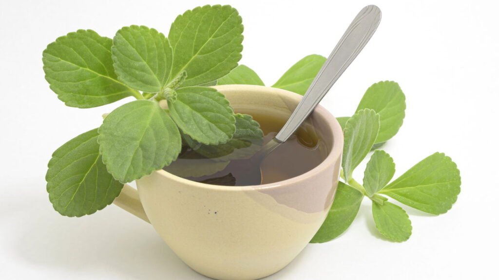 As ervas mais completas para desintoxicar e restaurar seu organismo