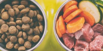 A alimentação natural mais indicada para cães e gatos com saúde sensível
