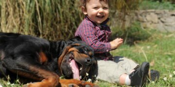 Esses cães protetores estão conquistando cada vez mais lares com crianças