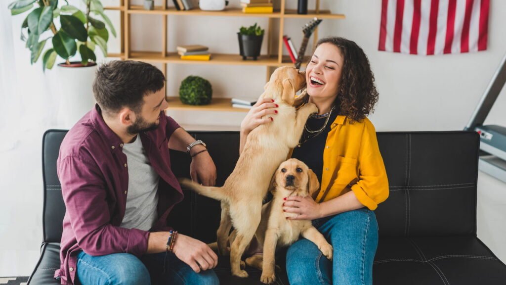 Por que algumas pessoas não se conectam com cachorros