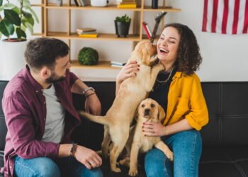 Por que algumas pessoas não se conectam com cachorros