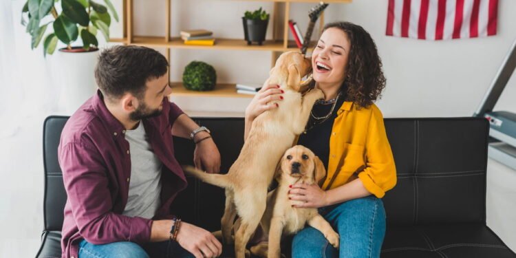 Por que algumas pessoas não se conectam com cachorros