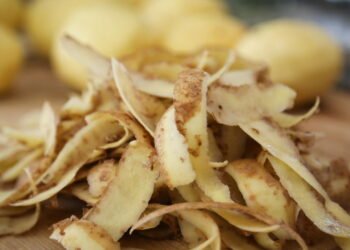 Por que bater casca de batata com vinagre pode transformar suas plantas