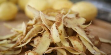 Por que bater casca de batata com vinagre pode transformar suas plantas
