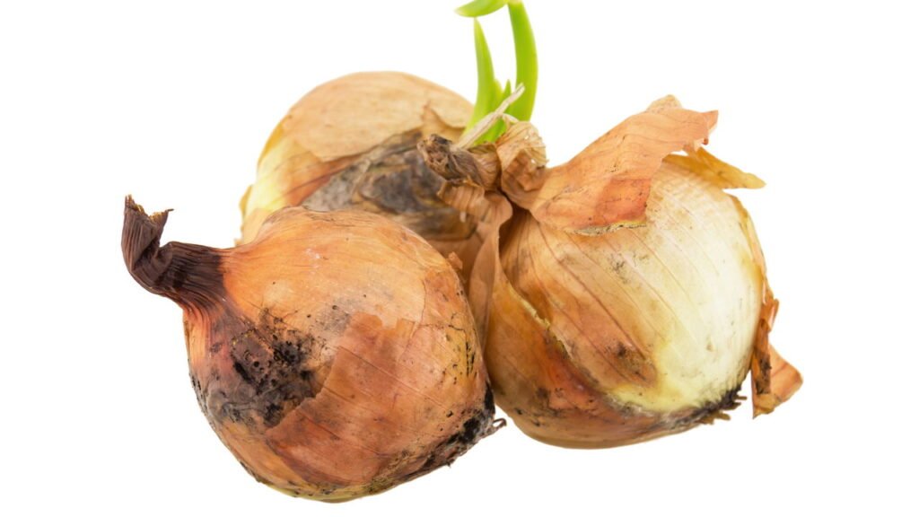 Cinco alimentos que nunca devem ir para a geladeira, segundo especialistas