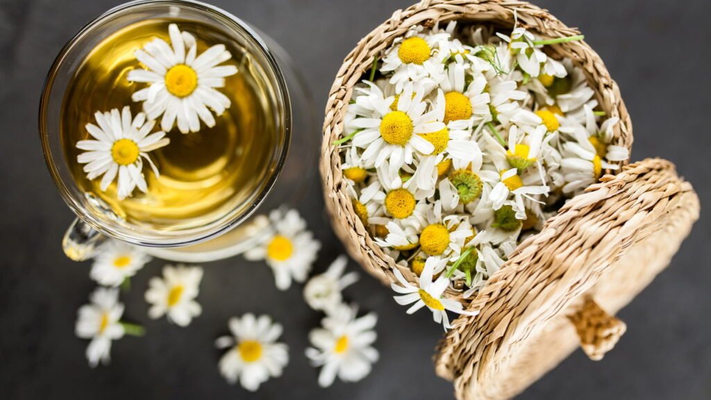 Alimentos que fortalecem pele e cabelo e como usar sem complicação