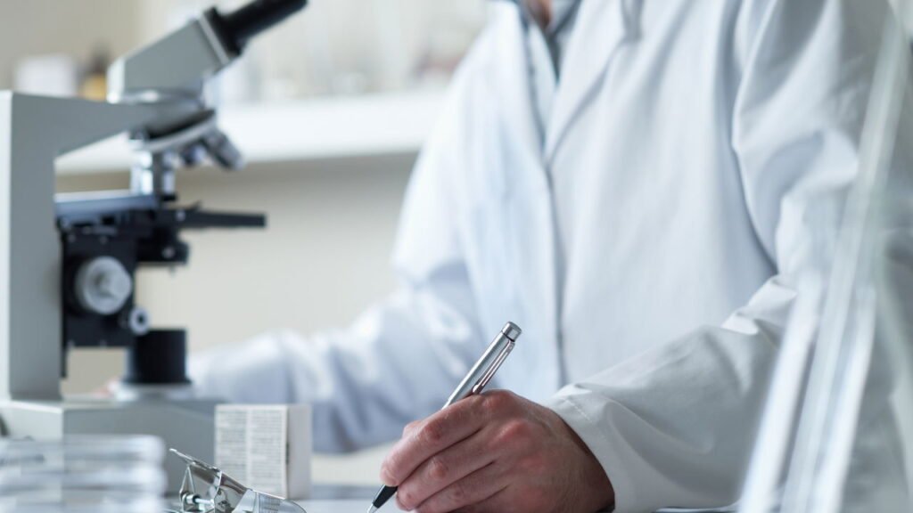 Cientistas descobrem proteína que pode reverter a perda de memória