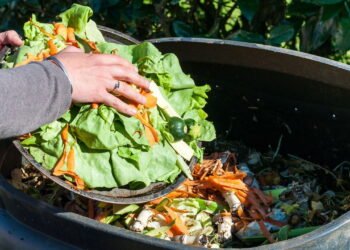 Transforme lixo em vida com a compostagem feita em casa