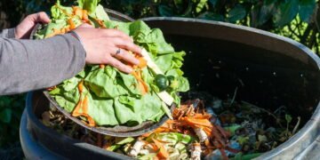 Transforme lixo em vida com a compostagem feita em casa