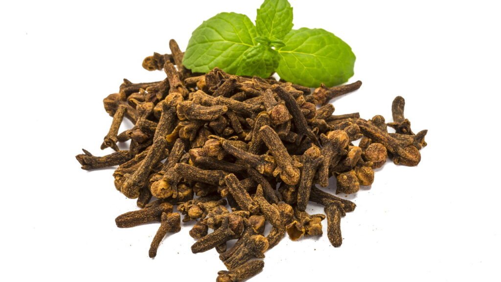 Livre-se dos mosquitos com a receita que ganhou fama nas redes