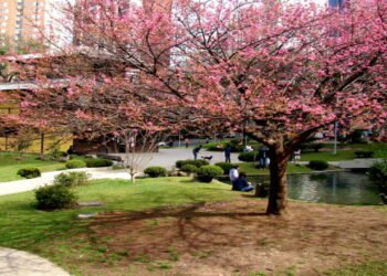 A cidade brasileira para quem busca lazer e baixo custo de vida