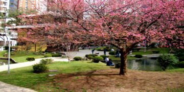 A cidade brasileira para quem busca lazer e baixo custo de vida