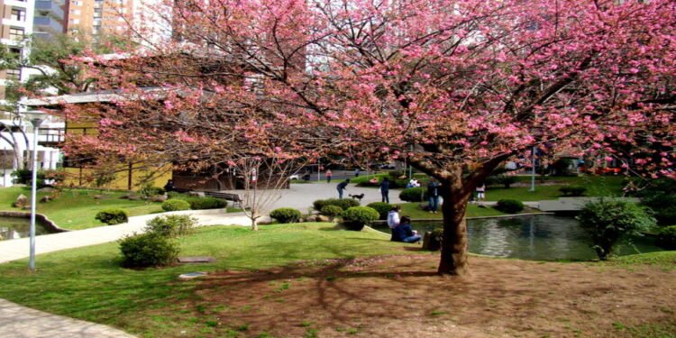 A cidade brasileira para quem busca lazer e baixo custo de vida