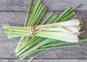 A planta mais cheirosa e funcional que todo mundo deveria ter em casa