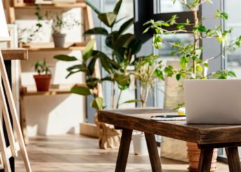 As plantas que estão fazendo brasileiros abandonarem o ar-condicionado