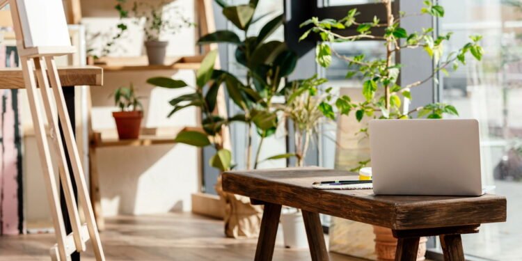 As plantas que estão fazendo brasileiros abandonarem o ar-condicionado