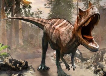 Esses animais viveram com os dinossauros e existem até hoje