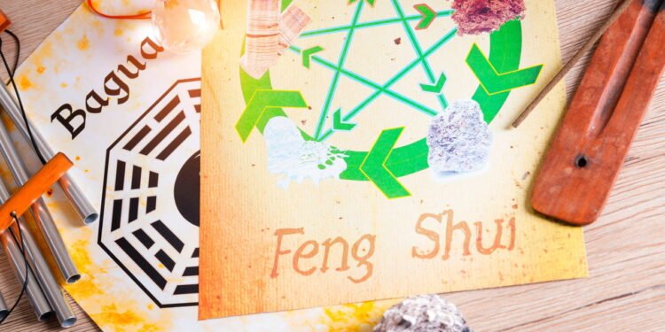 Feng Shui alerta sobre a planta que pode trazer solidão ao lar