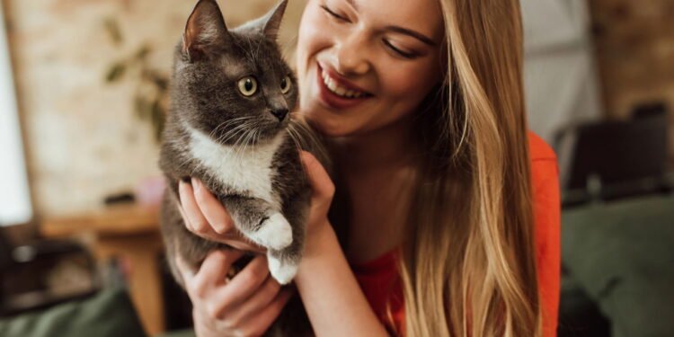 Seu gato está tentando falar com você e talvez você nem perceba