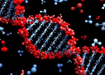 Longevidade saudável o guia definitivo para alcançar os 100 anos