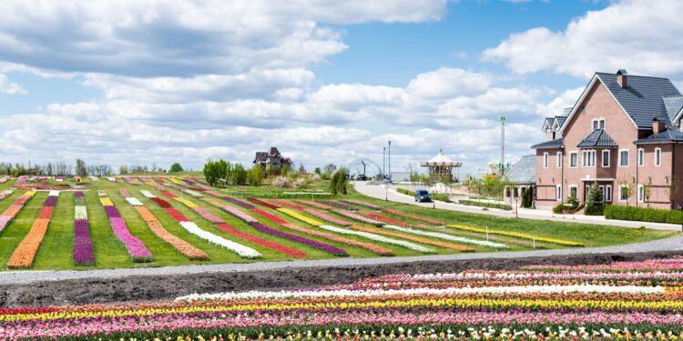 Países onde você pode morar e trabalhar legalmente com processo mais simples