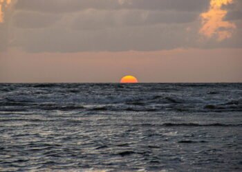 Ilha no Norte do Brasil surpreende turistas com culinária e paisagens únicas