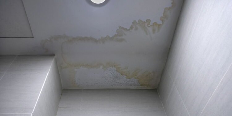 5 produtos acessíveis para acabar com infiltrações em casa de uma vez por todas