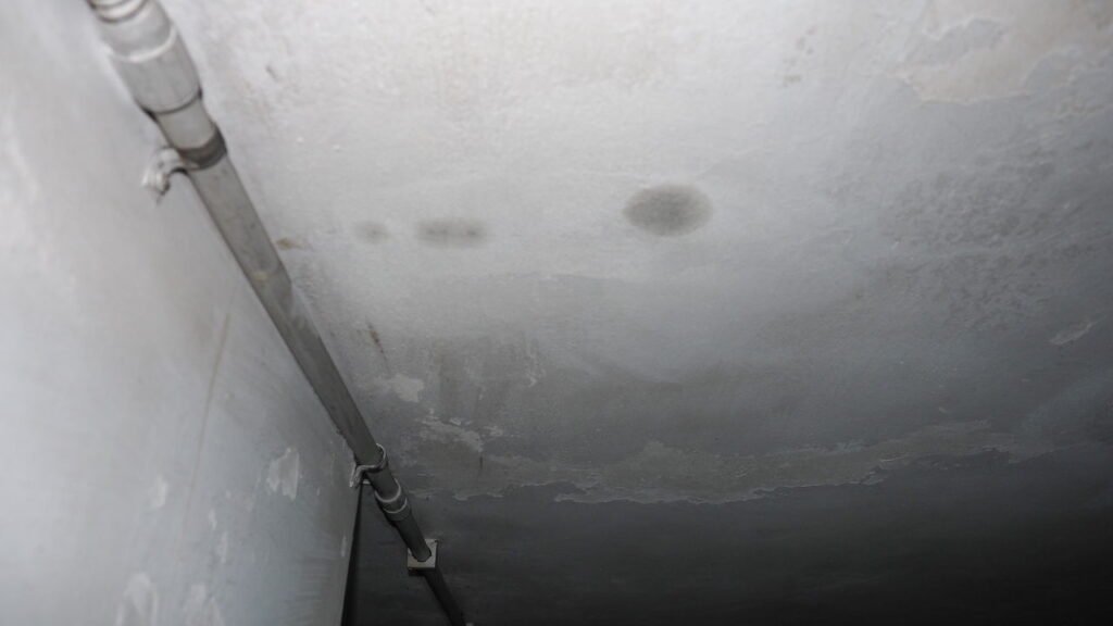 5 produtos acessíveis para acabar com infiltrações em casa de uma vez por todas