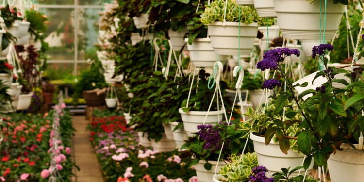 Flores de setembro que resistem ao calor e deixam a casa mais bonita para o verão